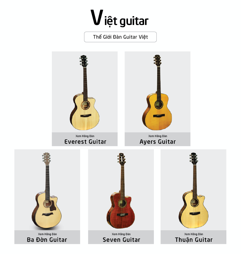 Thế giới guitar Việt - Tinh họa hội tụ