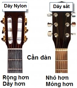 Dây đàn Guitar Acoustic vs Classic