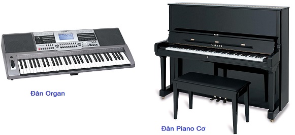 Đàn Piano và Organ