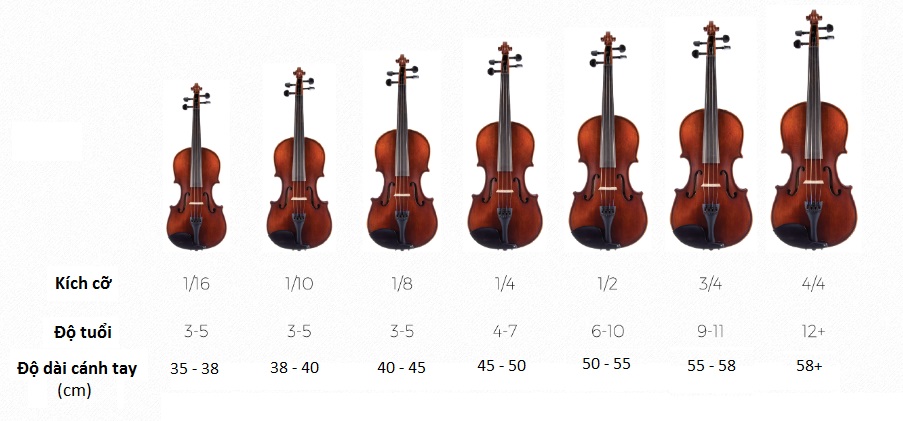 Kích cỡ đàn Violin