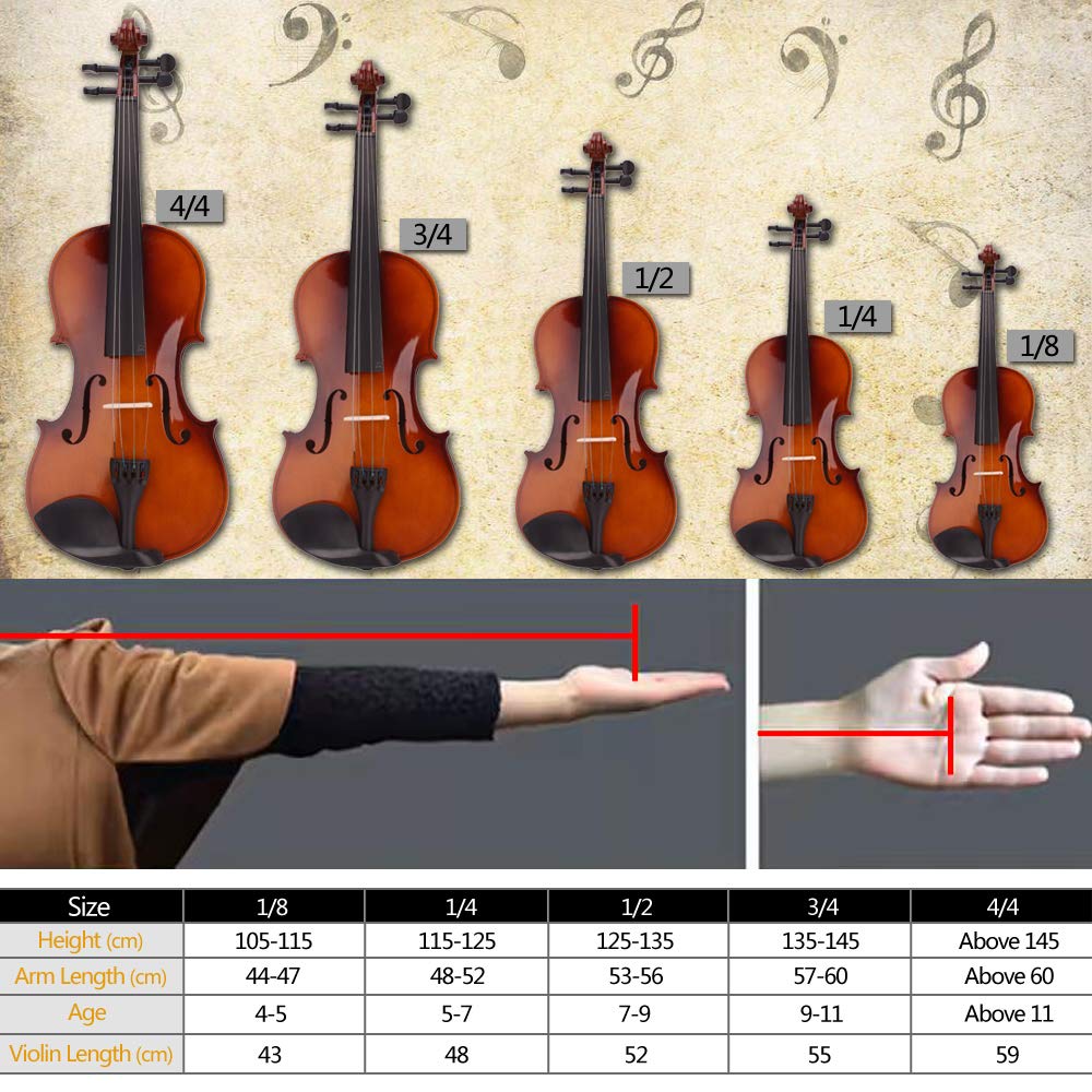 đàn violin giá có đắt không