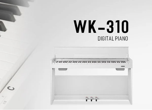 wk-310